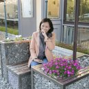 (유)류가투어 이미지