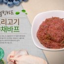 더펫 이미지