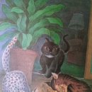 훤칠한고양이 이미지