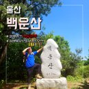 삼백육십오일사 네이버블로그