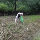 미니스톱 한강강서1점 이미지