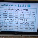 샤워하개 | 16. 안산 대형견 스탠다드푸들 미용, 샤워하개에서!!