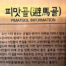 삼대족발과동대문곱창볶음 | 2008년 피맛골 모습