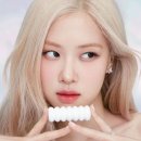 로제(Rose) 네이버블로그