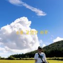 (주)맘스팜 네이버블로그