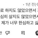 뿌리의상실 이미지