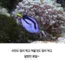 나비공간 이미지