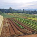 병풍농장 이미지