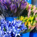 (주)엠플러스건설 이미지