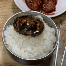 은성1호 이미지