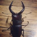 주빈농장 이미지