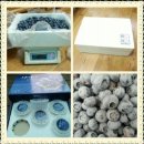 갈마농원 이미지