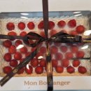 튼튼합기도 이미지