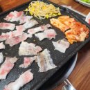 33한돼지 이미지