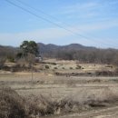 여주-1030 이미지