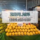 코타키나발루 야시장 필리피노마켓 망고 가격, 바나나 전통음식 후기