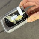 이모네분식 | 기장해동용궁사 가장 깔끔한 분식집 , 이모네집