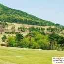 희창이네 농장 이미지