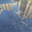 운양동손세차장 이미지