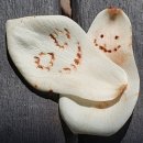 삼태기 Daum카페
