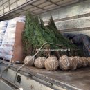 블루엔젤 하우스 이미지