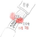 세이수선