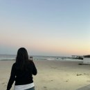 산채으뜸마을 | ㅊㄱㅅㅎㄱ