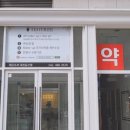 테오트리 이미지