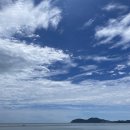 해보듬이 펜션 | [내돈내산] 거제도 애견동반 카페 강력추천 - &lt;마소마레&gt;