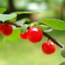 머리이야기 - 부산진구 초읍동 | 머리이야기