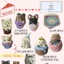 오늘뿐이개 이미지