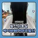 발산미용실 마곡미용실 에이바헤어 마곡발산점 클리닉 후기