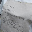 썬오브비앤피 이미지