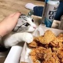 씨네마맥주 대구월곡점