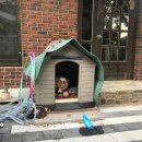 동이네집 이미지