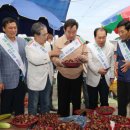 옥곡 5일시장 이미지