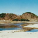 대야성 - 평택시 중앙로 196 | 대야성