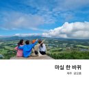 조수초등학교 | 제주 공항 근처 관광지 추천 (공항출발~한림~협재)