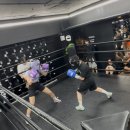 WS복싱클럽(상암점) 네이버블로그