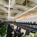 CLUB breex 이미지