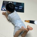 주식회사 디스커버리 | 책육아[ 마이 퍼스트 디스커버리 전집 ]내돈내산 세돌 아기 자연관찰책 추천 / 10권 소전집 / 구성...
