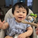 쿡123 | 후기 이유식 121-123일차/9개월 이유식/완모아기 300일-302일/황태무양파청경채계란죽/단호박파프리카...