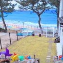 도서관 마당에서 가을 숲 캠핑 이미지