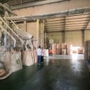 늘푸른농산영농조합법인 이미지