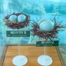 장자호수공원 생태체험관 | 구리 가볼만한곳, 아이와 함께 즐기는 장자호수공원 생태체험관 가이드