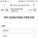 재난지원금사용처 조회 이미지