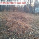 불은면-9 이미지