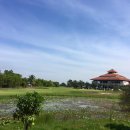 muang muang 이미지