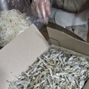 영덕상회 이미지