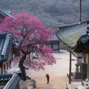 지리산휴가관광펜션 이미지
